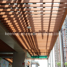 Plating Brass Color Stainless Steel Suspended Ceiling (KH-MC-M5)